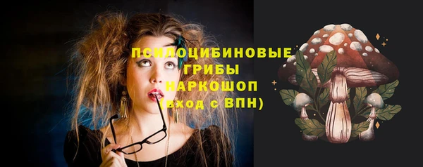 сатива Богородск