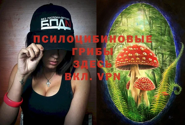 МДПВ Богданович