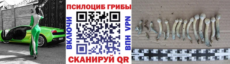Галлюциногенные грибы Magic Shrooms  где купить   KRAKEN ссылка  Боровичи 