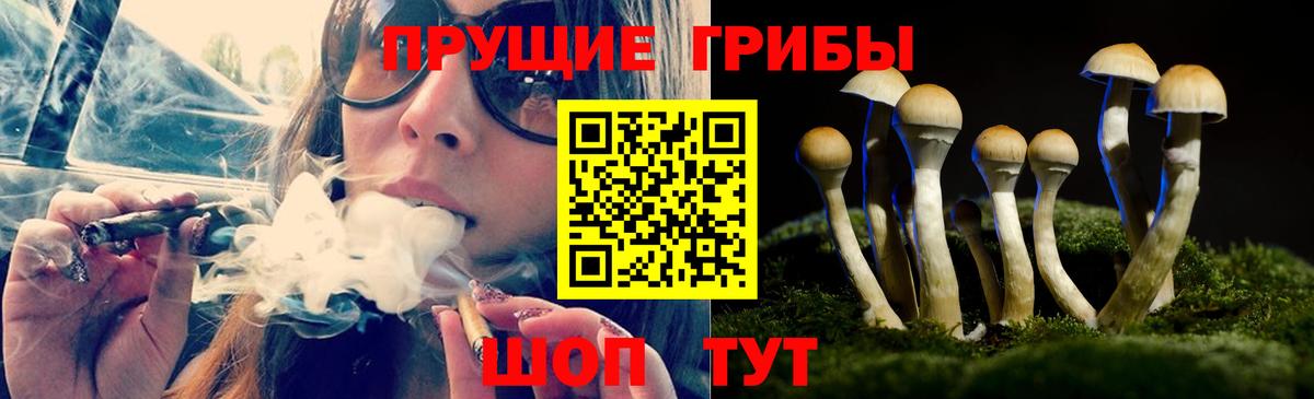 купить  цена  Вход с VPN  Боровичи  Галлюциногенные грибы мухоморы 
