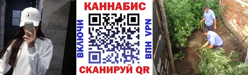 купить закладку  Боровичи  Марихуана OG Kush 